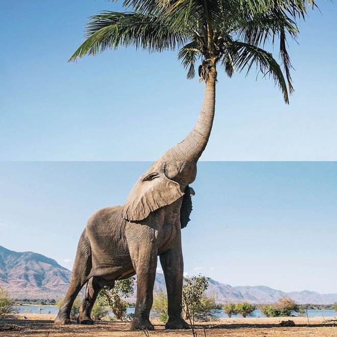this artist combines photographs to create surreal scenes from everyday life 5dba3c45b1965880 1572860823082567621482