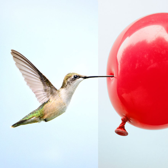 this artist combines photographs to create surreal scenes from everyday life 5dba3cc6de16f880 1572860823099347362876