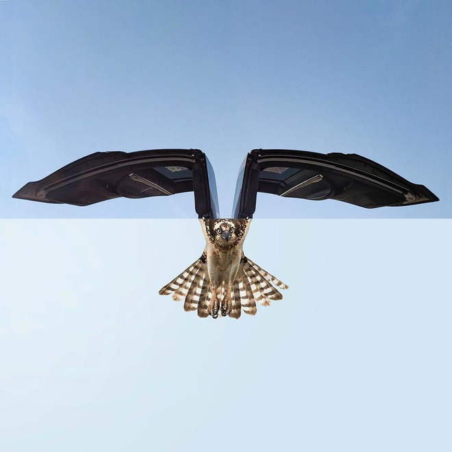 this artist combines photographs to create surreal scenes from everyday life 5dba3df9d853e880 15728608231061268249972