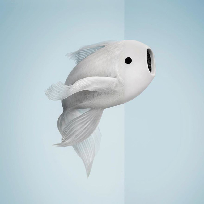 this artist combines photographs to create surreal scenes from everyday life 5dba3e3387ea3880 157286082309481551945