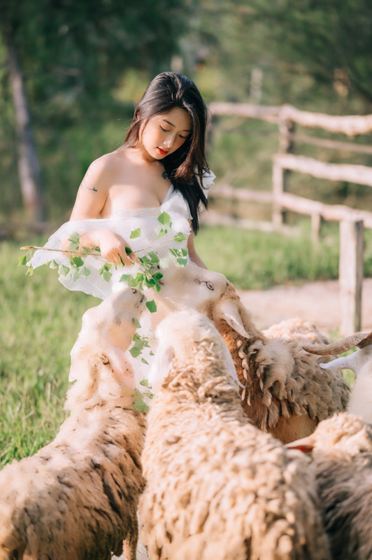 HP0835 21 04 stock Anh Son Huong ngoai canh NCS 3946 HoangPhucPhoto HP0835