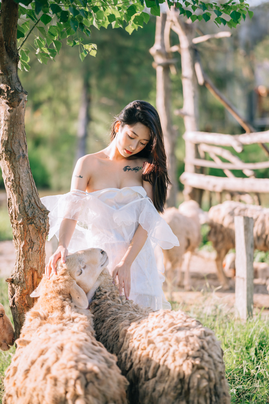 HP0836 20 04 stock Anh Son Huong ngoai canh NCS 4032 HoangPhucPhoto HP0836