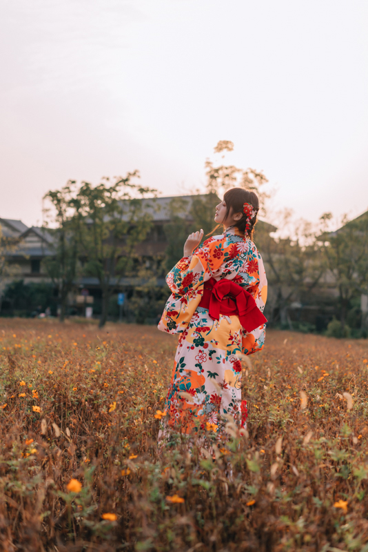 58预设 鸽子王花海 HoangPhucPhoto HP0576