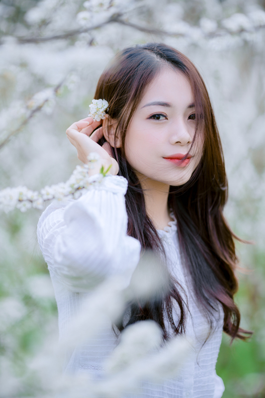 Stock Nguyen Hong Phuong DTH1480 HoangPhucPhoto HP0400