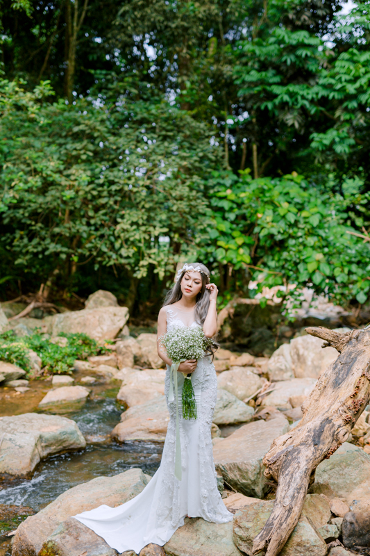 Stock Toan Pro 264A1110 HoangPhucPhoto HP0312