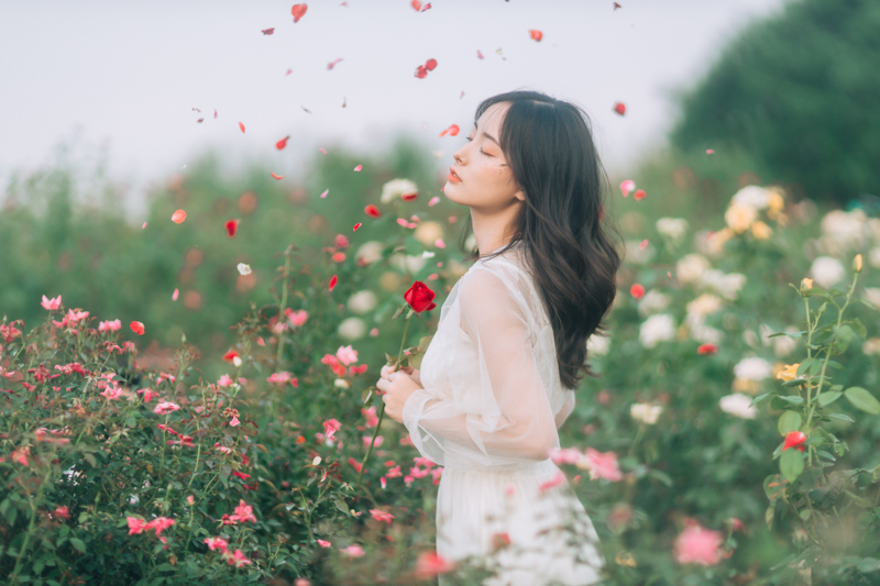 stock Mong mo Ngoc LOng Photo 1Z7A3331 HoangPhucPhoto HP0701
