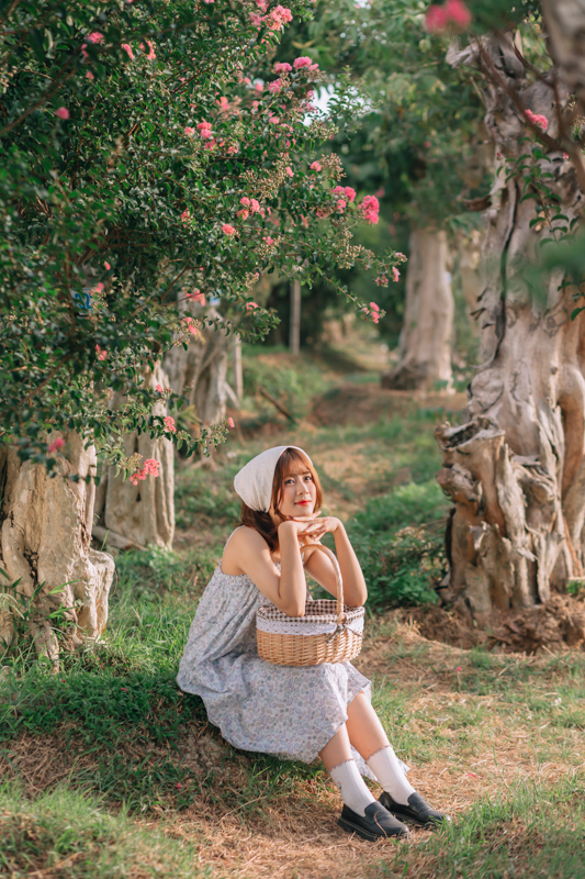 stock Nguyen Ky IMG 3925 HoangPhucPhoto HP0669