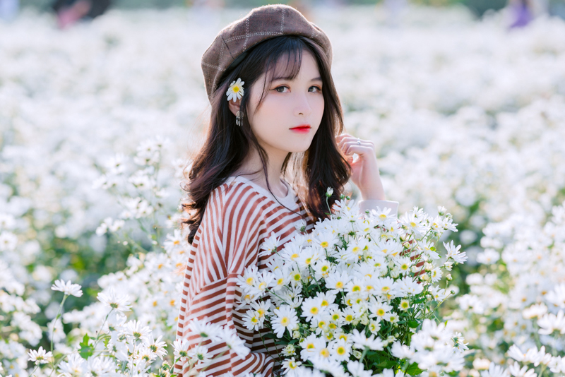 stock cuc hoa mi kien ka ka KKK 6510 HoangPhucPhoto HP0355