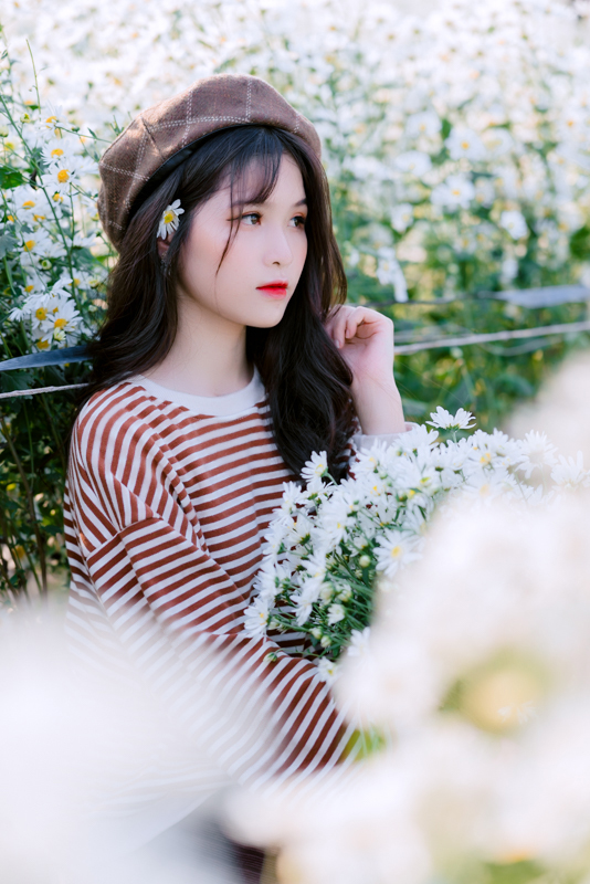 stock cuc hoa mi kien ka ka KKK 6615 HoangPhucPhoto HP0357