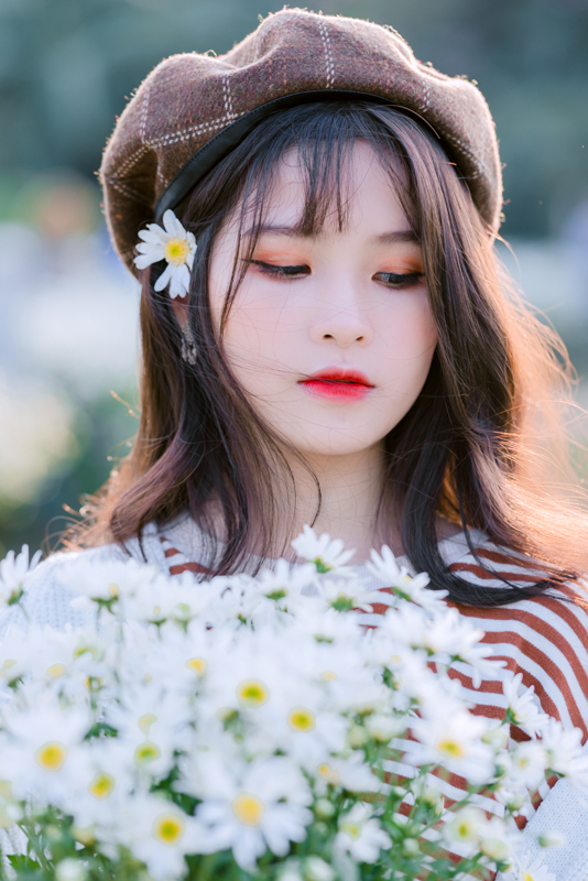 stock cuc hoa mi kien ka ka KKK 6687 HoangPhucPhoto HP0358