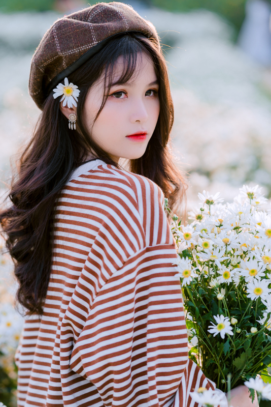 stock cuc hoa mi kien ka ka KKK 6748 HoangPhucPhoto HP0360