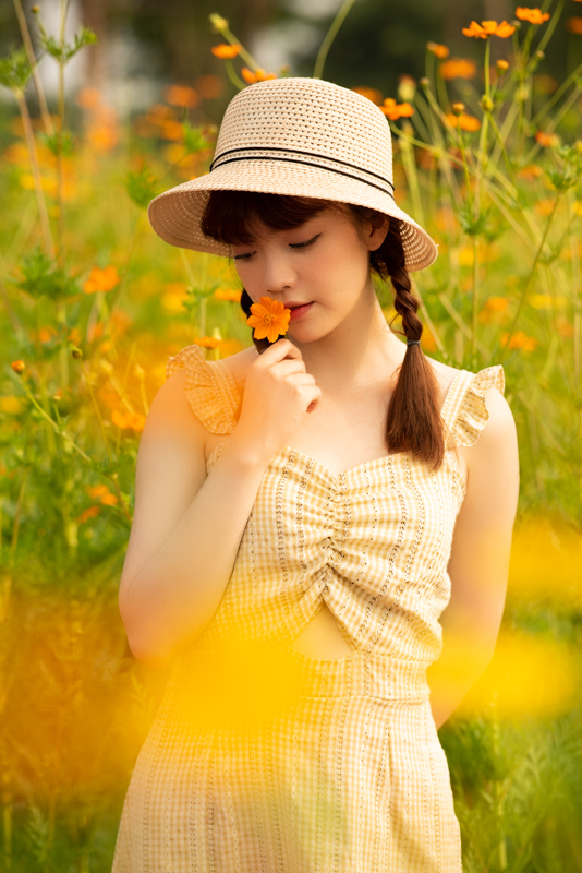 stock hoa buom Kien Ka Ka KKK 2055 HoangPhucPhoto HP0479