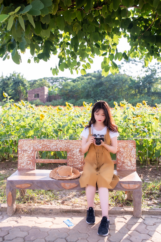 stock huong duong linh kien ka ka KKK 4669 HoangPhucPhoto HP0328