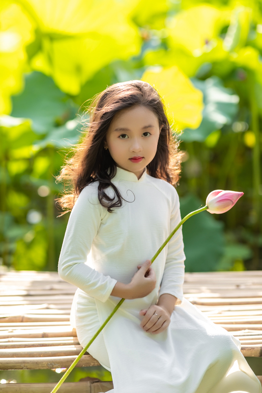 stock sen quan nguyen 0M6A9799 HoangPhucPhoto HP0487