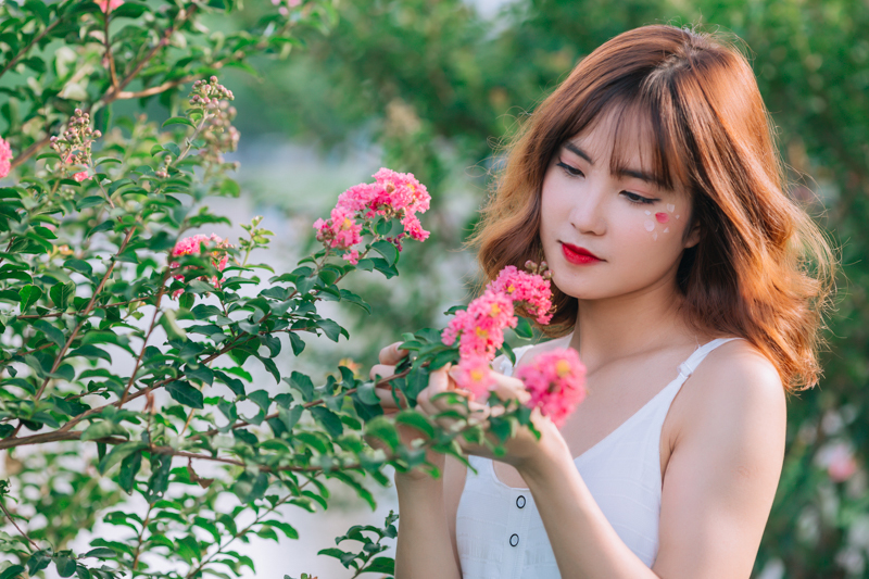 stock suu tam stock Ngoc Long HoangPhucPhoto HP0506
