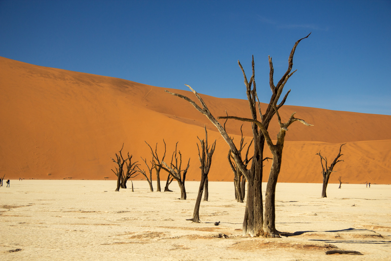 stock suu tam tag richard newey sossusvlei from signatureedits.com HoangPhucPhoto HP0152