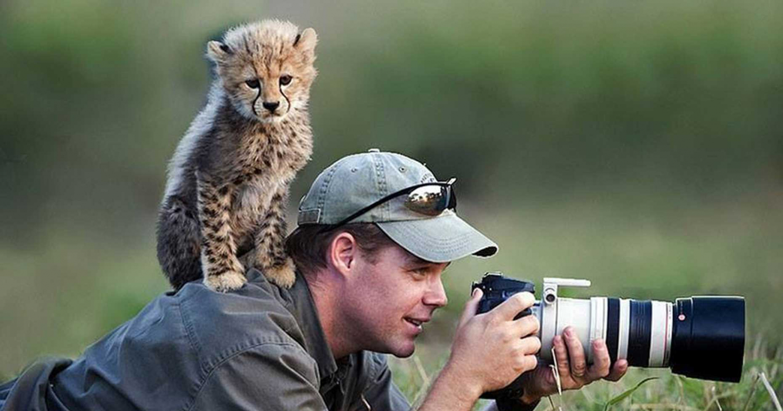 Cách chụp ảnh động vật hoang dã hiệu quả