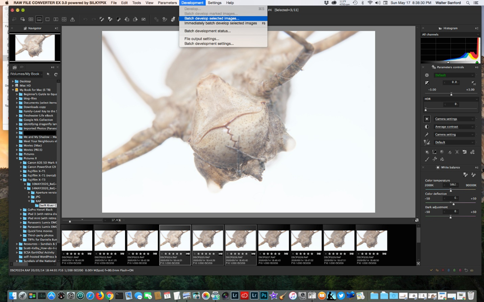 Tải RAW FILE CONVERTER EX 3.0: Phần mềm chuyển đổi RAW miễn phí dành cho máy ảnh Fujifilm 2 image 12
