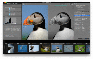 x raw studio 01