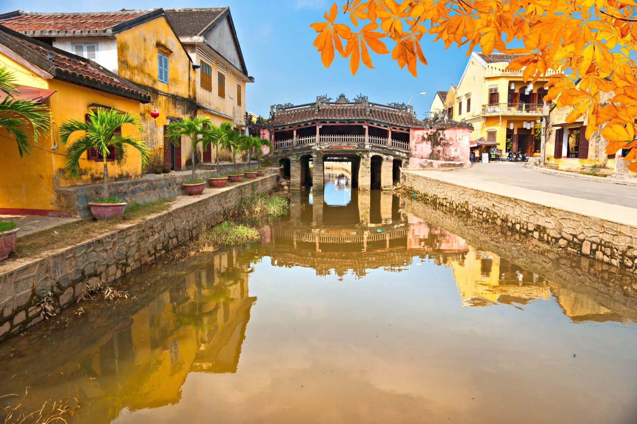 anh pho co 4