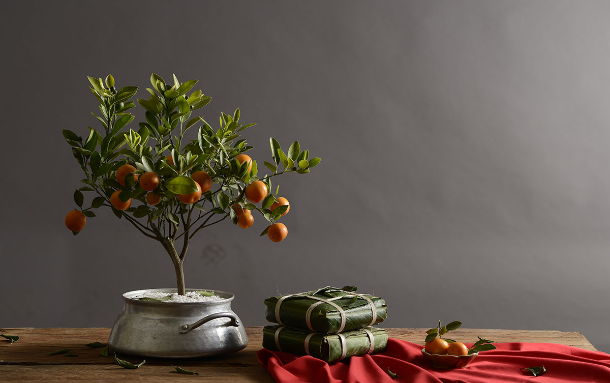 ảnh tv lỗi 1 anh tv loi 1