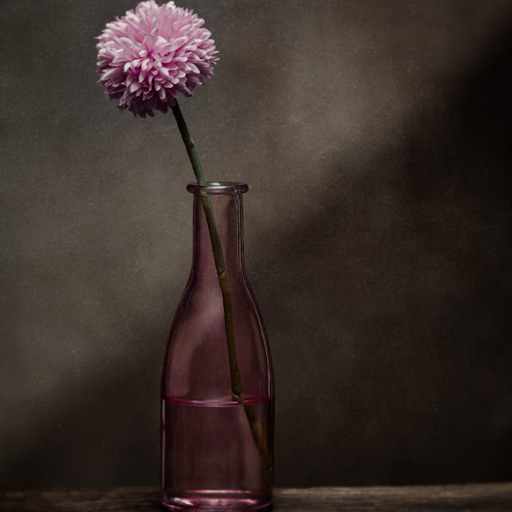 ảnh tvat lỗi sáng tối anh tvat loi sang toi