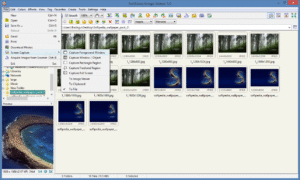 FastStone Image Viewer screen capture