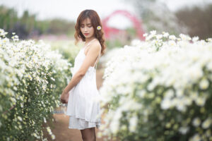 Ảnh RAW Canon Cúc Hoạ Mi - Lê Anh Tuấn