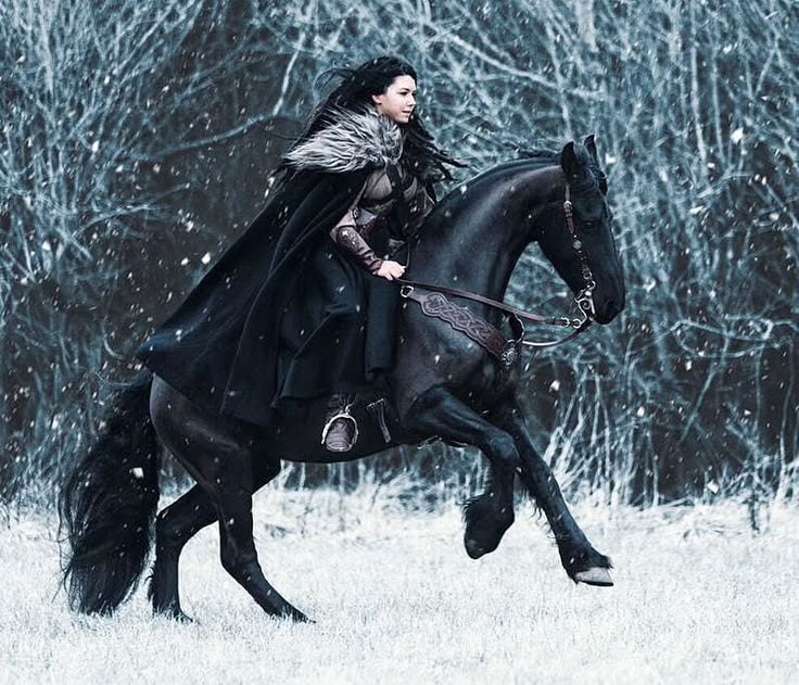 anh cc tuyet fantasy