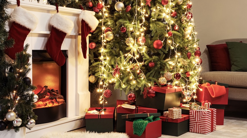 anh gsinh do xanh trang 4