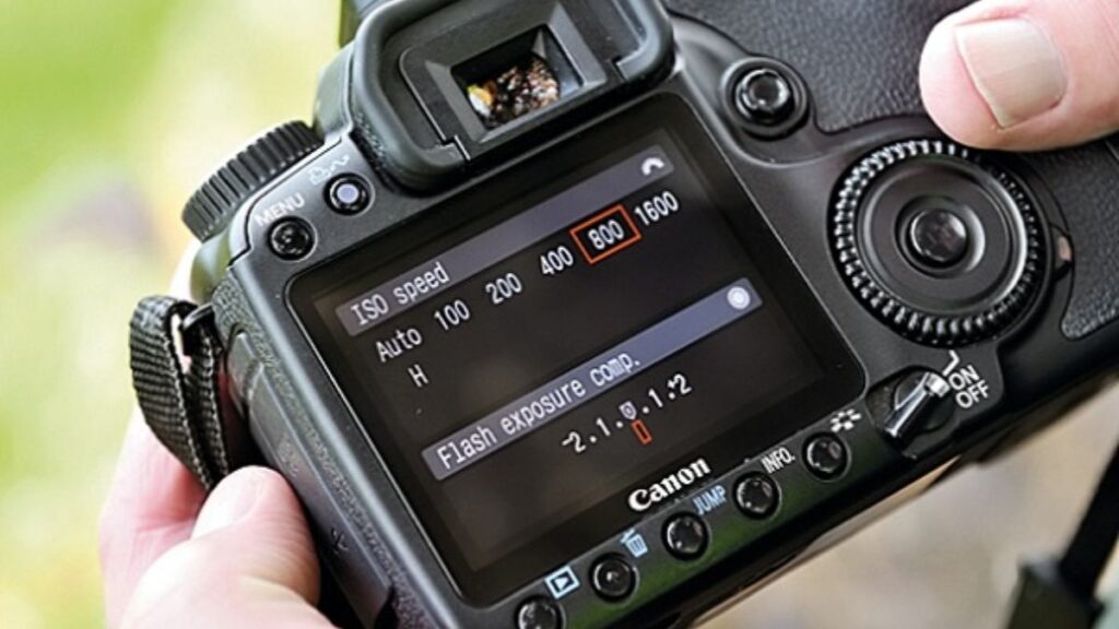 60s tìm hiểu cách chụp ảnh cây thông Noel cực dễ 6 chinh iso