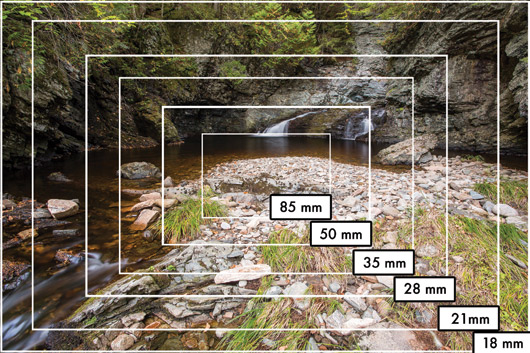 60s tìm hiểu cách chụp ảnh cây thông Noel cực dễ 5 image 2