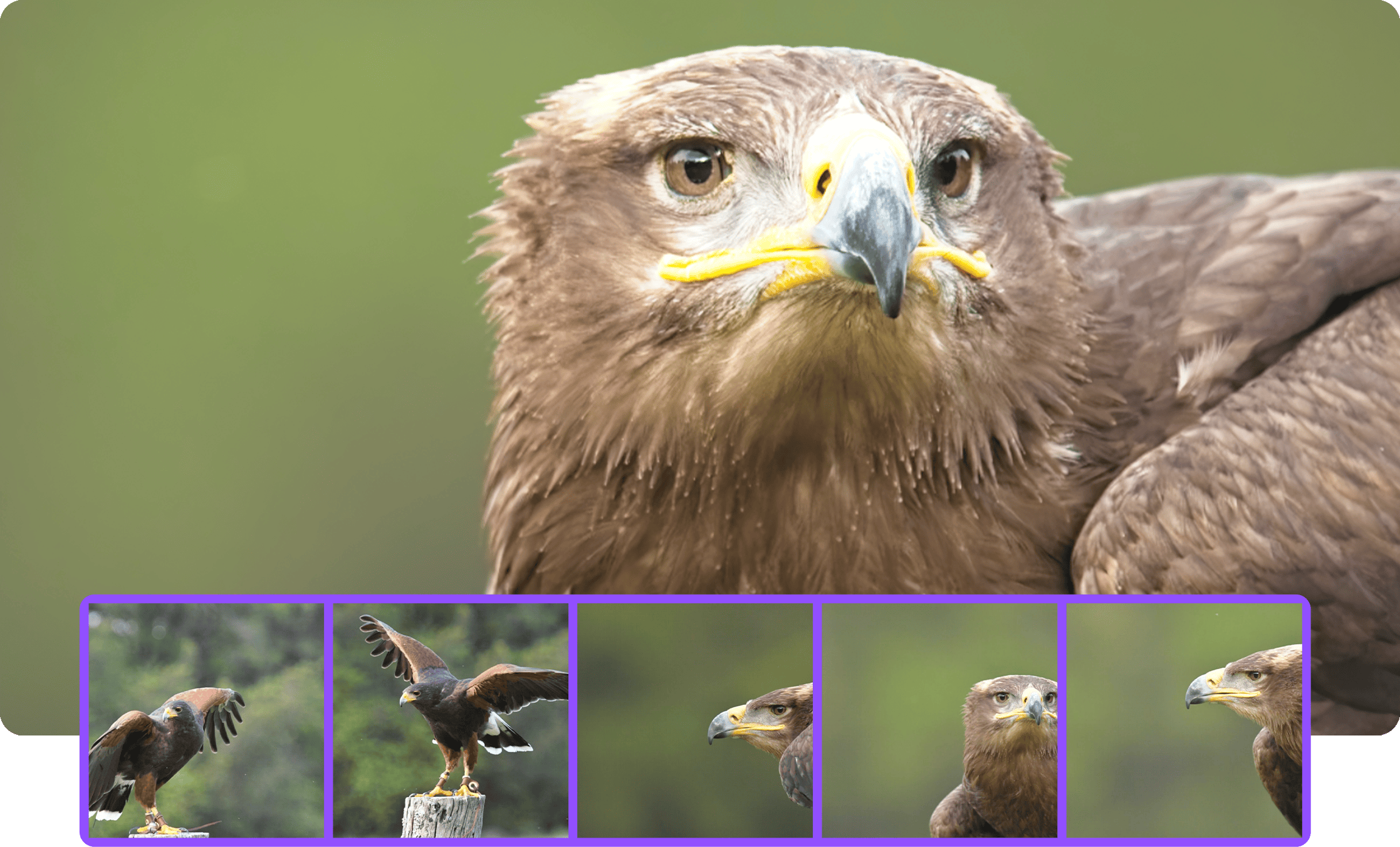 imgi 98 batch resize