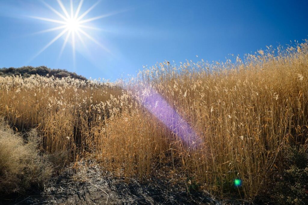 image 68