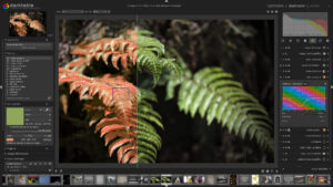 screenshot darkroom1