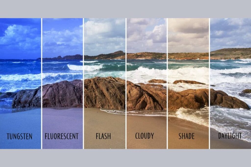 Đừng đổ lỗi cho máy ảnh, 90% ảnh ám màu là do sai cân bằng trắng 2 Cân bằng trắng 1