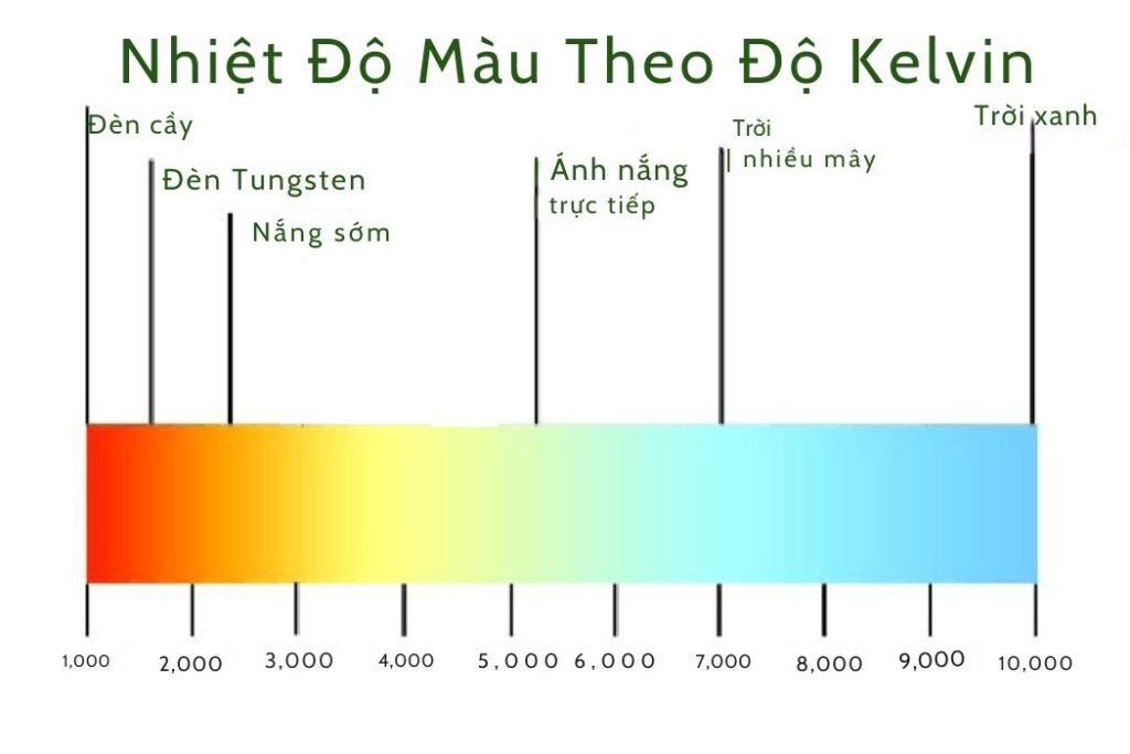 Đừng đổ lỗi cho máy ảnh, 90% ảnh ám màu là do sai cân bằng trắng 3 Cân bằng trắng 2