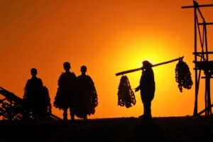 Chụp Silhouette