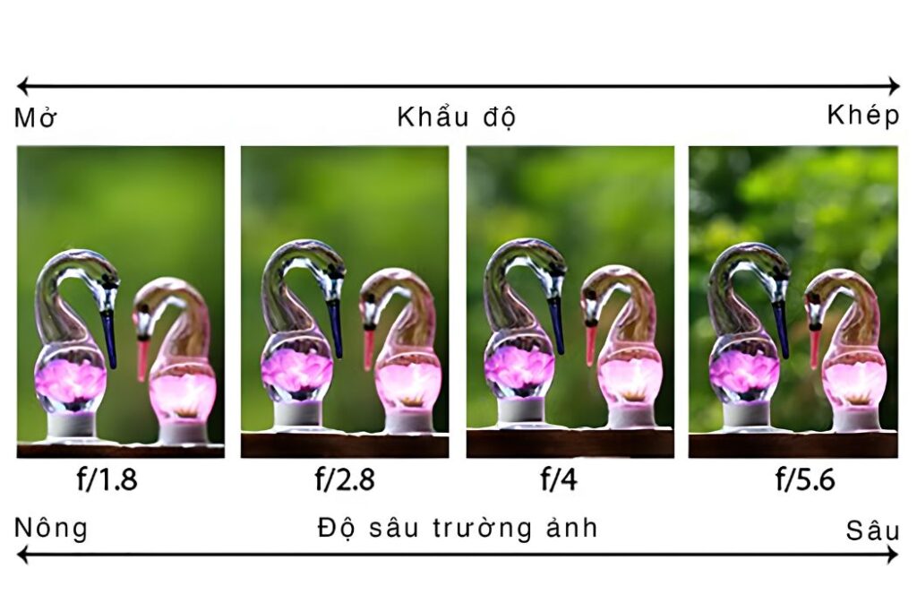 Độ sâu trường ảnh 3