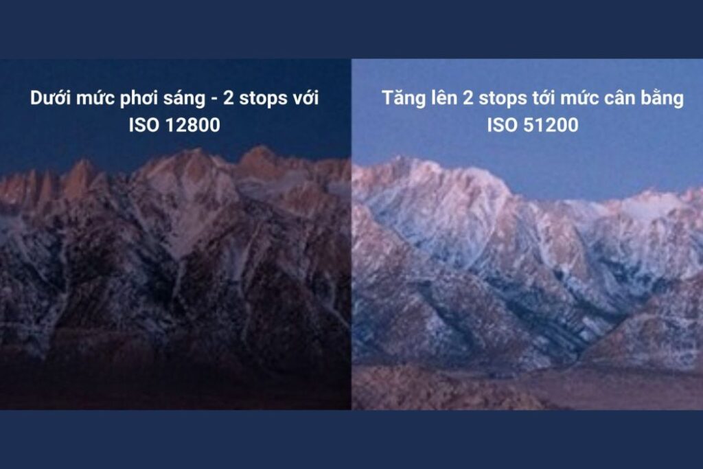 Sự Thật Có Phải ISO Trong Nhiếp Ảnh Càng Thấp Thì Ảnh Càng Đẹp 4 ISO trong nhiếp ảnh
