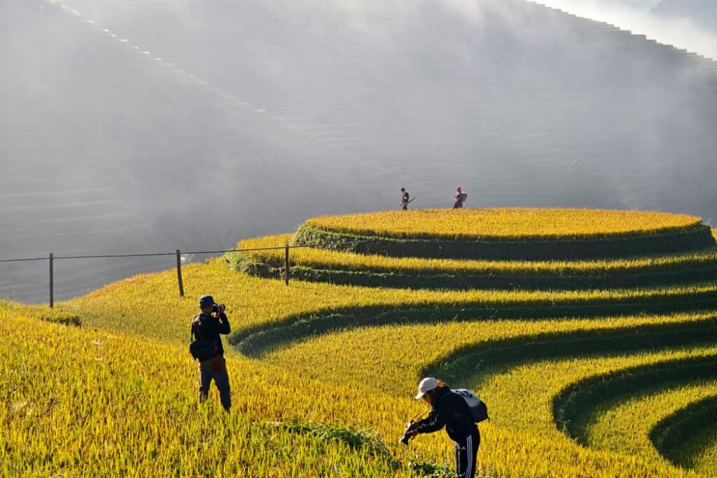 độ phóng đại