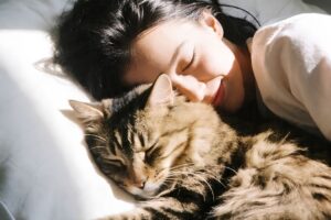 chỉnh sửa ảnh thú cưng