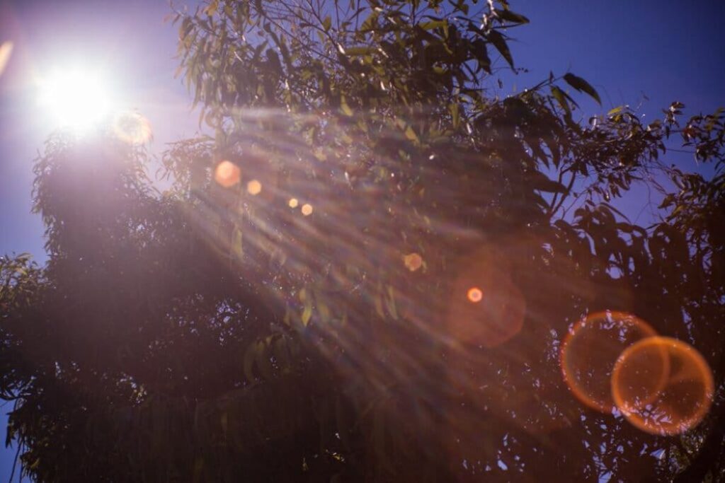 Hiện tượng flare